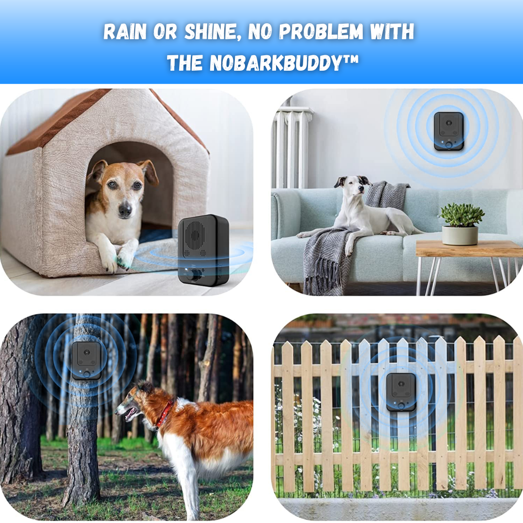 NoBarkBuddy™ - Dog Barking Trainer